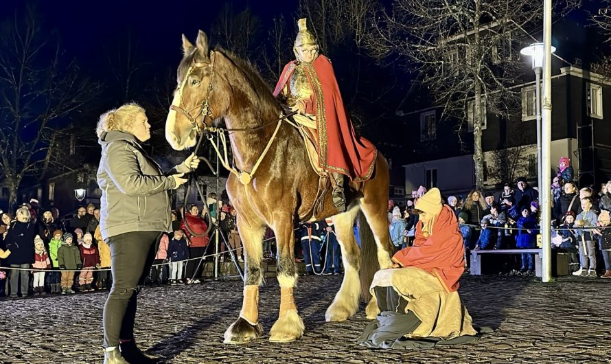 St. Martinszüge Rhein-Kreis Neuss 2025